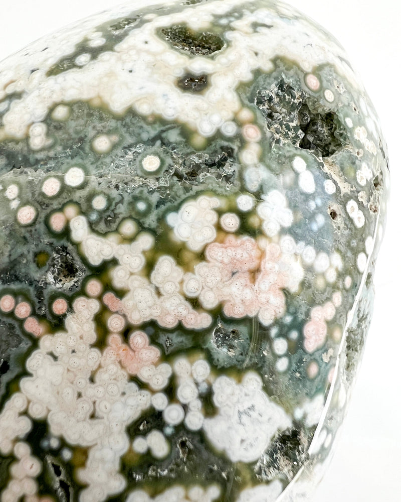 Ocean Jasper Palmstone