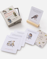 The Backyard Bird Deck