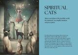 Cats, A Mystical Guide