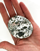 Ocean Jasper Palmstone