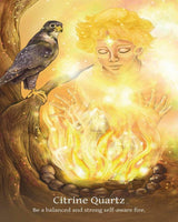 Shamanic Crystals Oracle : By Barbara Marchi