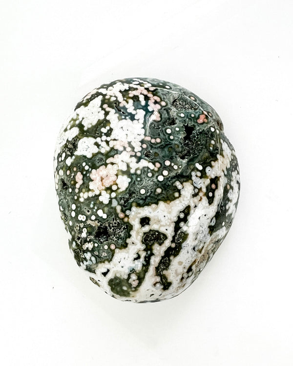 Ocean Jasper Palmstone