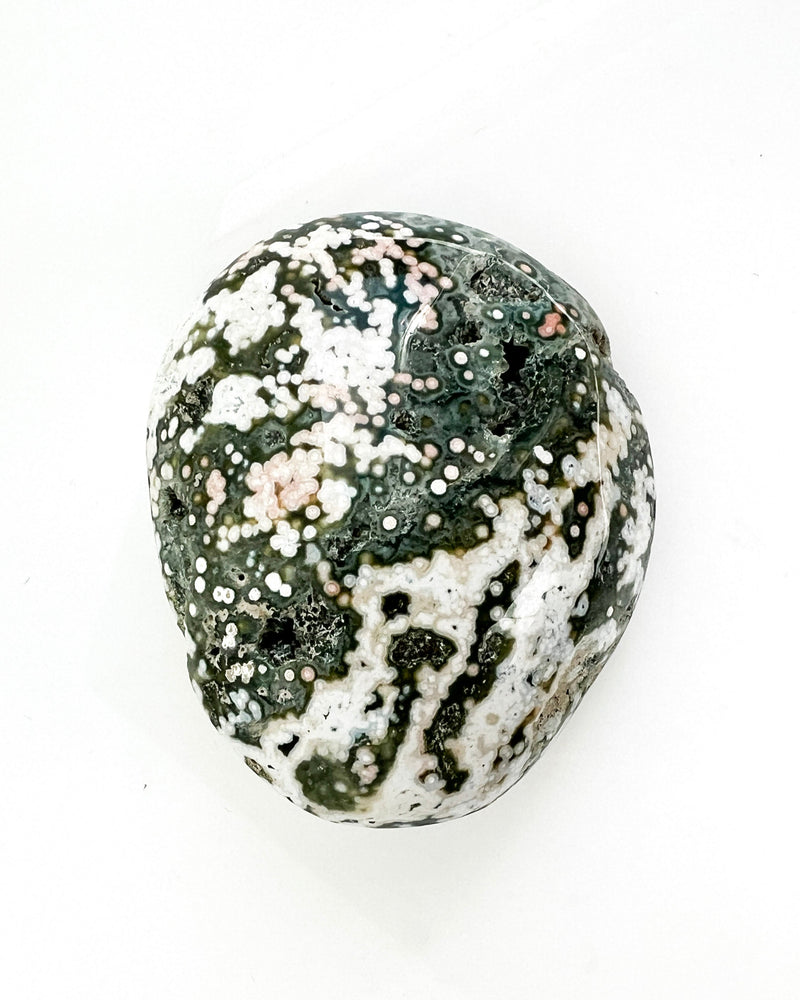 Ocean Jasper Palmstone
