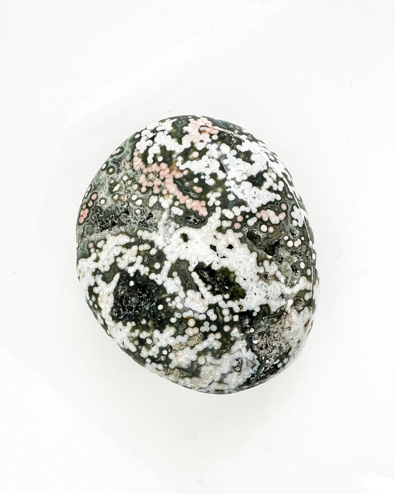 Ocean Jasper Palmstone