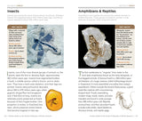 National Geographic Guide To North American Rocks & Minerals