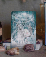 Shamanic Crystals Oracle : By Barbara Marchi