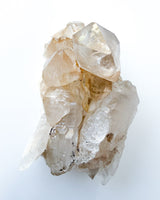 Golden Himalayan Quartz Specimen