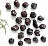 Tumbled Garnet | High Vibe Crystals | Ethically Sourced