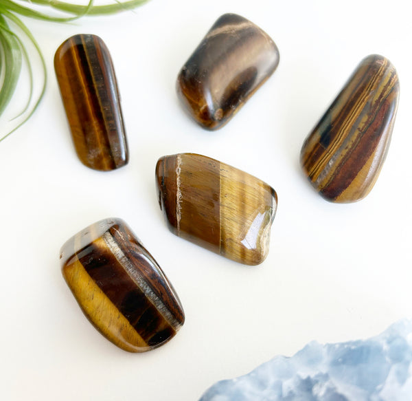 Tumbled Gold Tigers Eye | Ethically Sourced | AAA Grade
