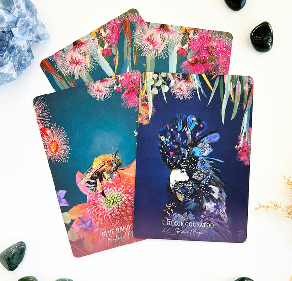 Wild Wisdom Australia Deck