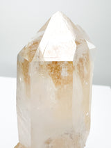 Colombian Lemurian Relationship Quartz with Record Keeper