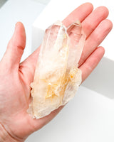 Colombian Lemurian Relationship Quartz with Record Keeper