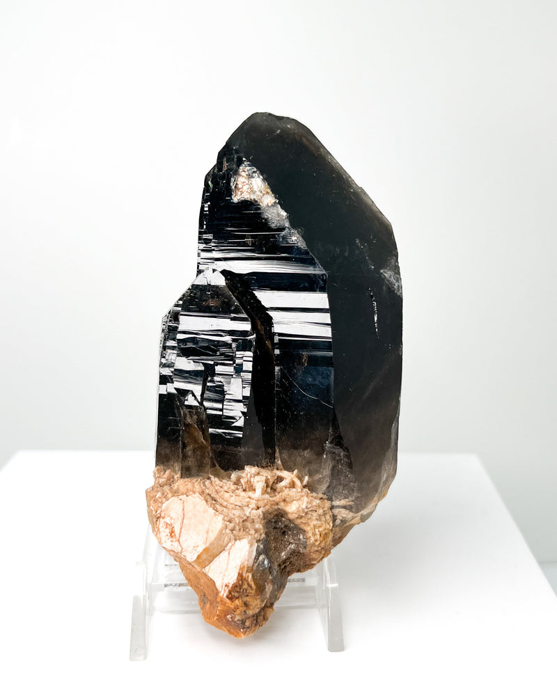 Morian Smoky Quartz