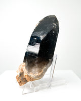Morian Smoky Quartz