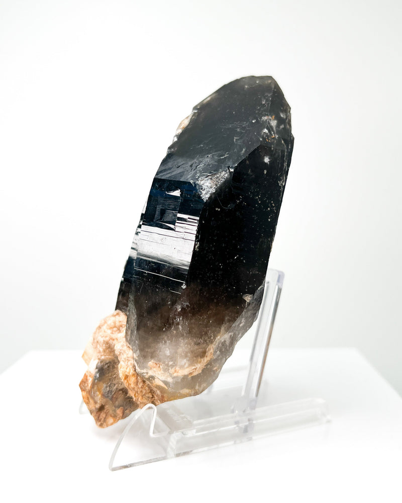 Morian Smoky Quartz