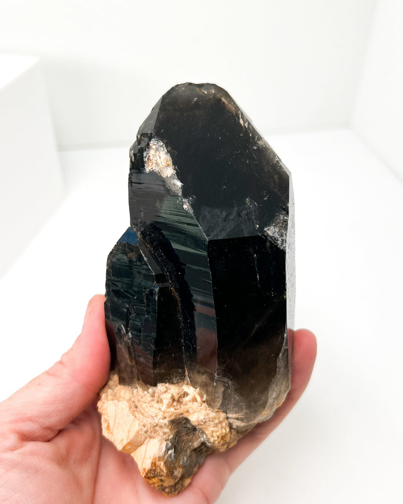 Morian Smoky Quartz