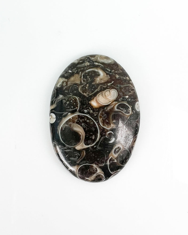 Turitella Agate Cabochon