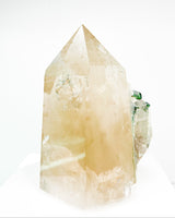 Citrine + Green Tourmaline Specimen