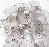 Black Rutile in Amethyst | High Vibe Crystals