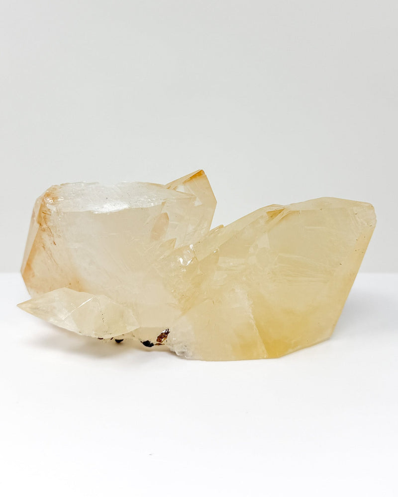 RARE Elmwood Honey Calcite Specimen