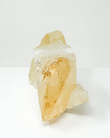 RARE Elmwood Honey Calcite Specimen