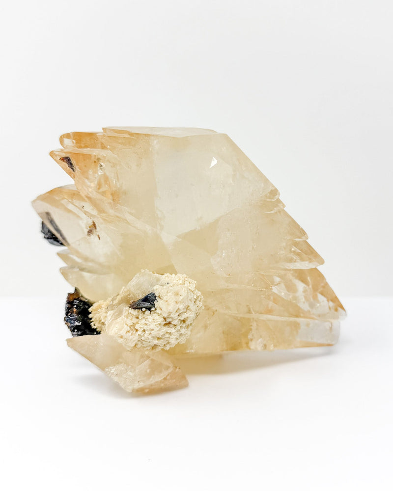 RARE Elmwood Calcite Specimen