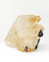 RARE Elmwood Calcite Specimen