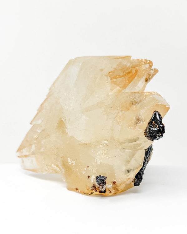 RARE Elmwood Calcite Specimen