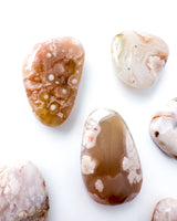 Flower Agate Mini Palmstone