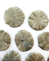 Pyrite Sun
