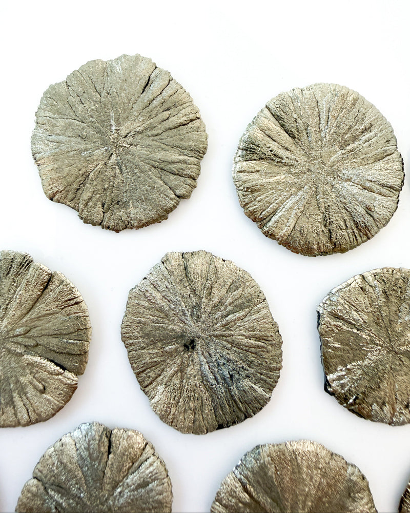 Pyrite Sun