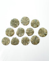 Pyrite Sun