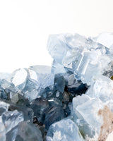 Celestite