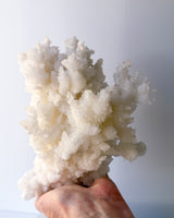 Cave Aragonite