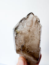 Smoky Elestial Quartz