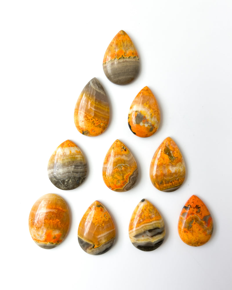 Bumblebee Jasper Cabochon