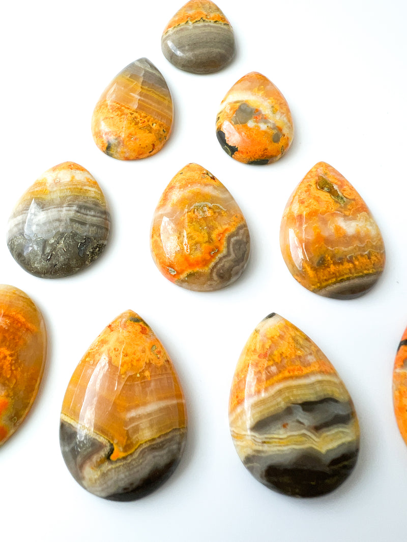 Bumblebee Jasper Cabochon