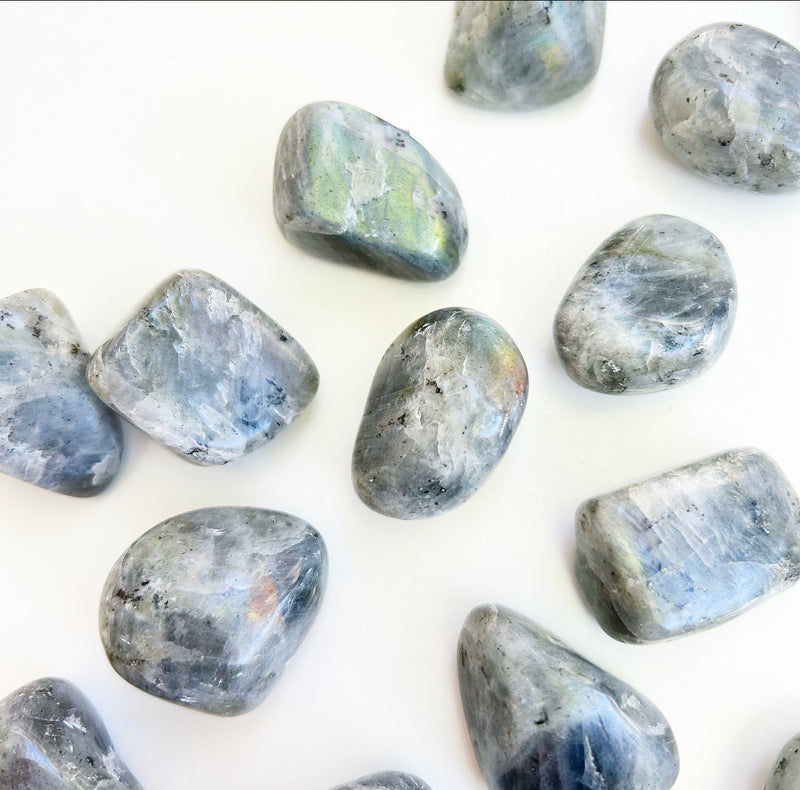 Tumbled Labradorite | A Grade | High Vibe Crystals