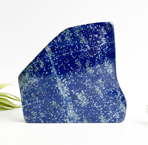 Lapis Lazuli + Specimen | High Vibe Crystals
