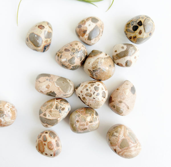 ethically sourced tumbled leopard jasper
