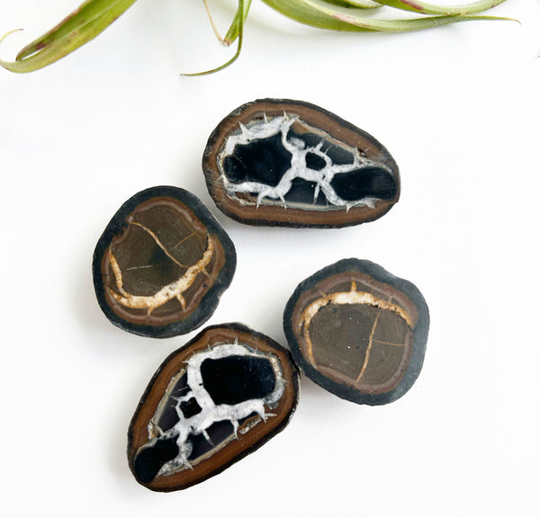 Septarian Geodes | High Vibe Crystals