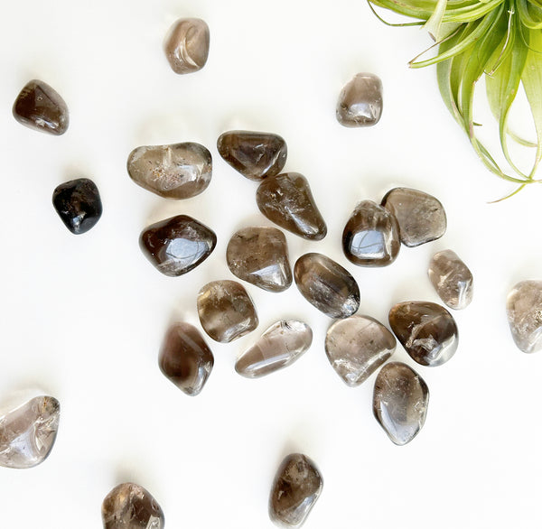 Tumbled Smoky quartz | Ethically Sourced | AAA Grade 