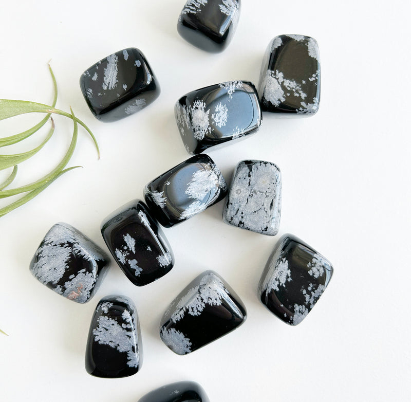 Snowflake Obsidian - Ethically Sourced - High Vibe Crystals