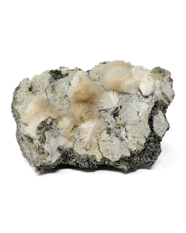 Thomsonite Specimen no. 1