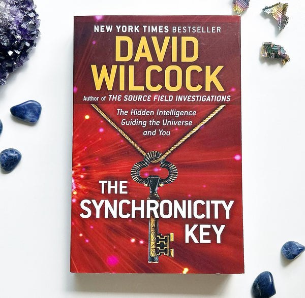 The Synchronicity Keys by David Wilcock