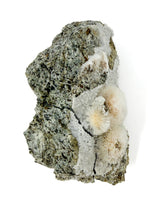 Thomsonite Specimen no. 5