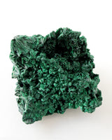 Velvet Malachite no. 1