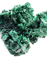 Velvet Malachite no. 1