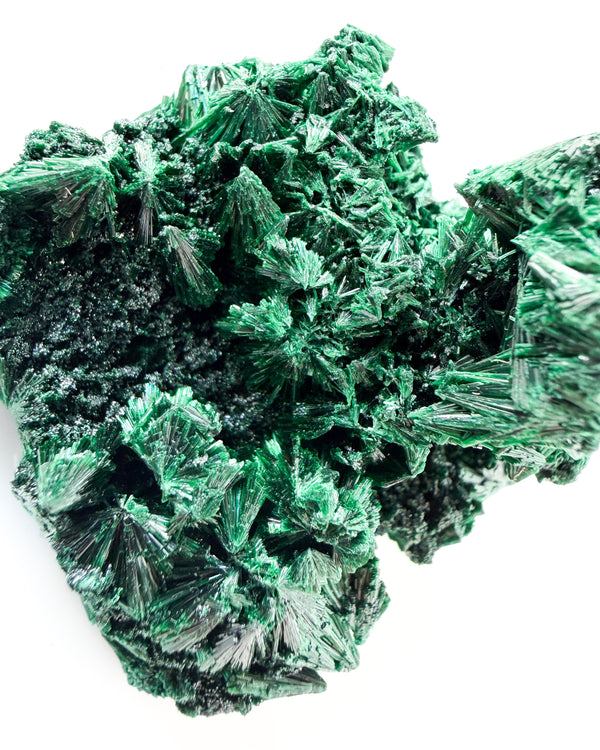 Velvet Malachite no. 1