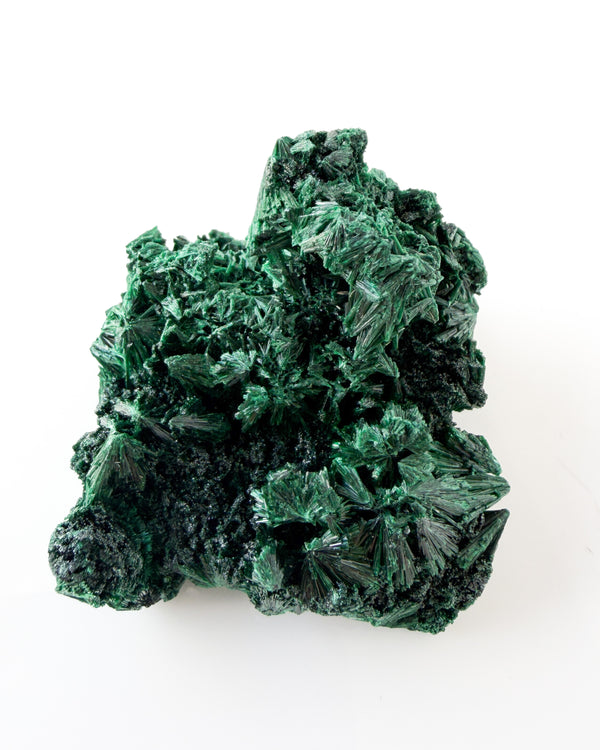 Velvet Malachite no. 1
